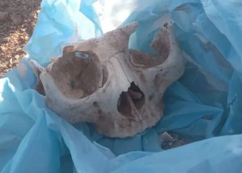 AMLO sugiere que la denuncia de la supuesta fosa clandestina fue un montaje