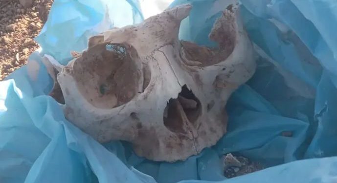 AMLO sugiere que la denuncia de la supuesta fosa clandestina fue un montaje