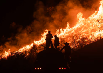 Reportan 84 incendios activos en México