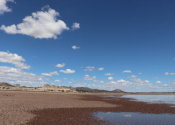 Revivir el Plan Hidráulico es una 'cortina de humo': especialistas