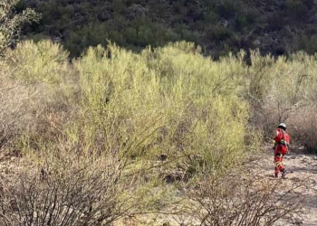 Senderista fallece al caer de un cerro