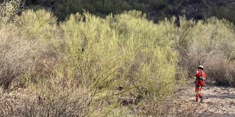 Senderista fallece al caer de un cerro