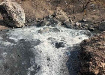 Fiscalía capitalina asegura que restos óseos localizados por Ceci Flores en la CDMX son de origen animal