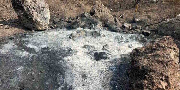 Fiscalía capitalina asegura que restos óseos localizados por Ceci Flores en la CDMX son de origen animal