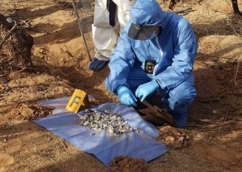 Avanza construcción de centro para identificación de cuerpos en Hermosillo