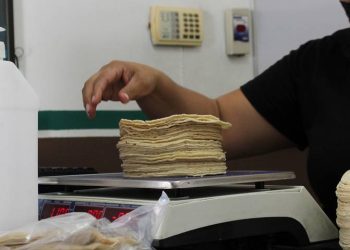 Al alza el precio de la tortilla de maíz; puede llegar a costar 30 pesos el kilo