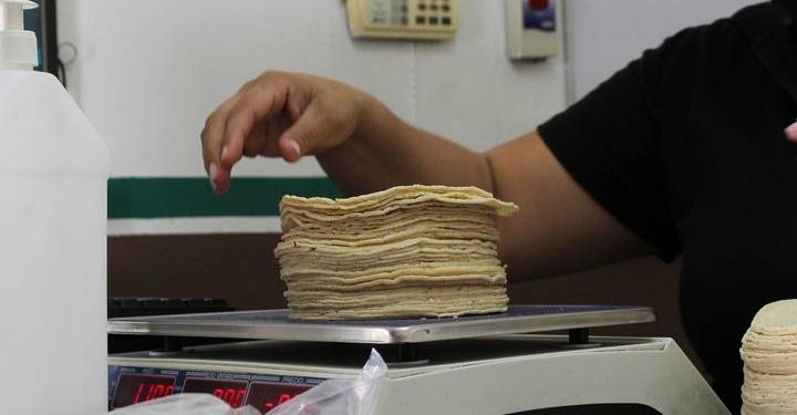 Al alza el precio de la tortilla de maíz; puede llegar a costar 30 pesos el kilo