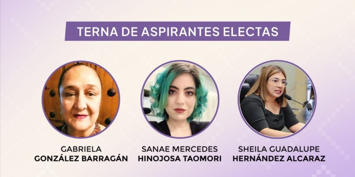 Aprueban terna para la titularidad del ISM