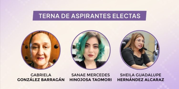 Aprueban terna para la titularidad del ISM