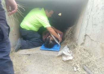 Localizada adulta mayor extraviada en Magdalena de Kino.
