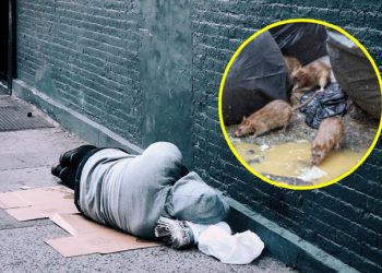 Mujer ebria se queda dormida y ratas la devoran en Rusia; pierde las piernas.