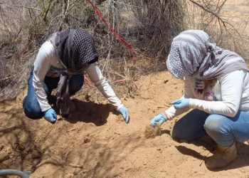Colectivo encuentra 10 cuerpos en ocho fosas clandestinas en Nogales.