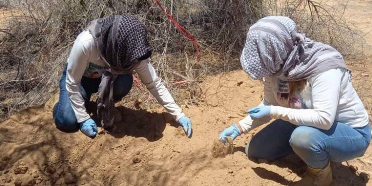 Colectivo encuentra 10 cuerpos en ocho fosas clandestinas en Nogales.