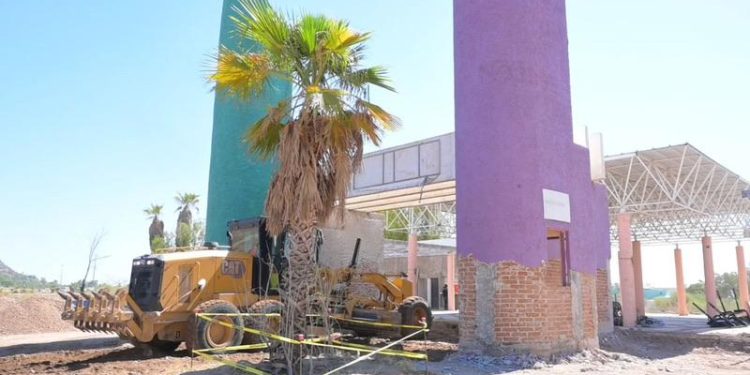 Grupos ambientalistas y Gobierno de Sonora trabajan en la rehabilitación del parque La Sauceda.