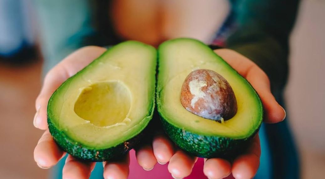 EU suspende temporalmente importación de aguacate michoacano, por agresiones a sus inspectores.