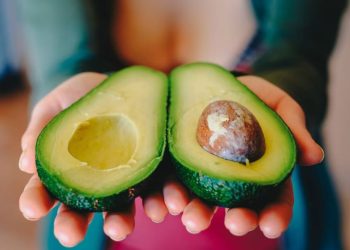 EU suspende temporalmente importación de aguacate michoacano, por agresiones a sus inspectores.