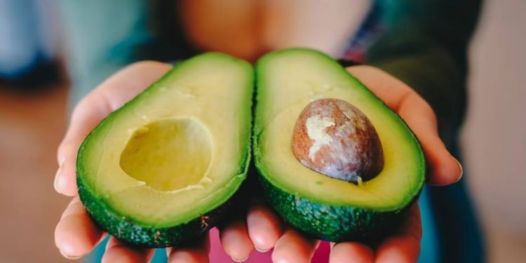 EU suspende temporalmente importación de aguacate michoacano, por agresiones a sus inspectores.