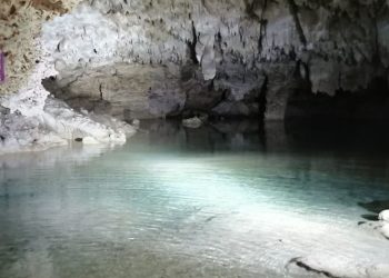 Dictan nueva suspensión a obras del Tren Maya en Tramo 5 Sur de Playa del Carmen a Tulum.