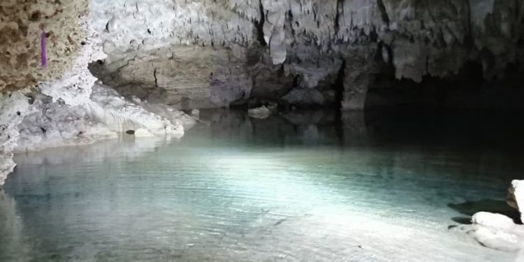 Dictan nueva suspensión a obras del Tren Maya en Tramo 5 Sur de Playa del Carmen a Tulum.