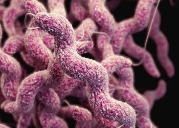 Bacteria “carnívora” en Japón: Esto es lo que se sabe del aumento de casos.