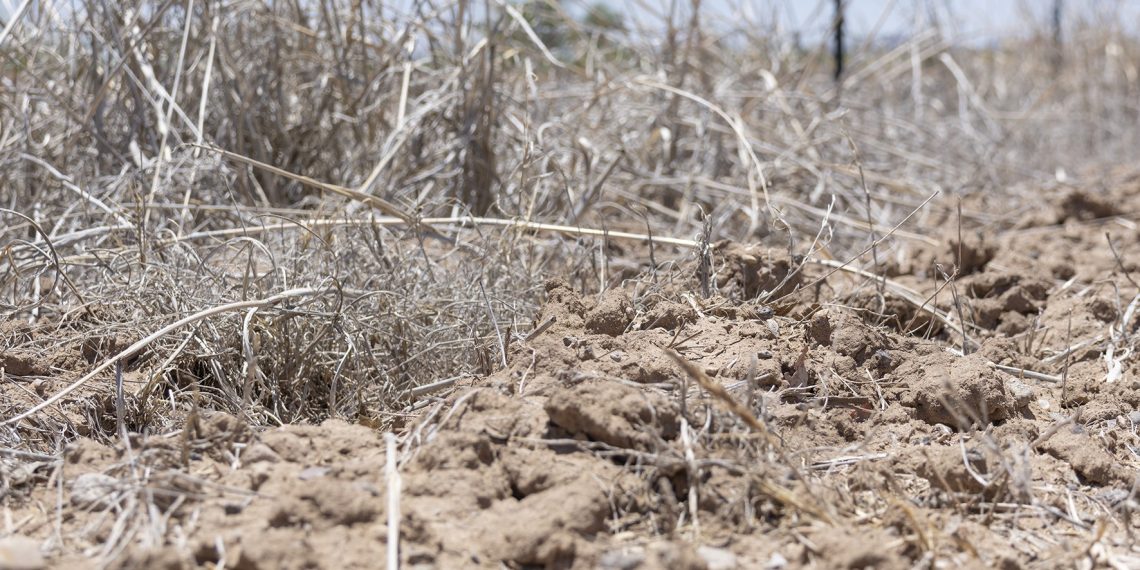 Se ha modificado el medio ambiente y esto hace que se caliente más el planeta: académico.