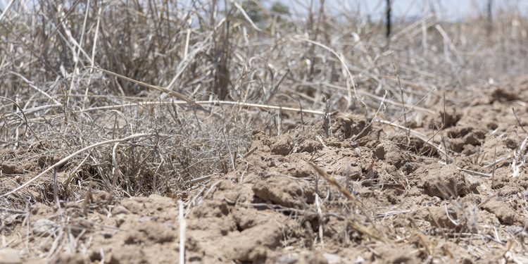 Se ha modificado el medio ambiente y esto hace que se caliente más el planeta: académico.