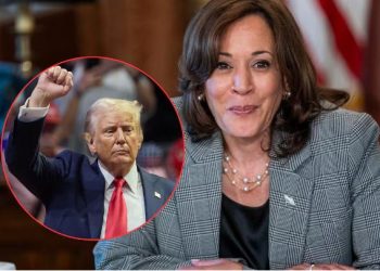 “Si tienes algo que decirme, dimelo en la cara”: Kamala Harris invita a Donald Trump a debate.