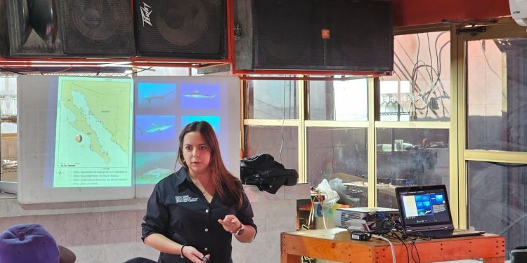 Capacita Sagarhpa a pescadores y buzos en prevención de incidentes con tiburones.