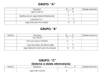 Se definen los juegos de los Play offs del Campeonato Municipal de béisbol de primera fuerza “Campeón de Campeones Hermosillo 2024”.