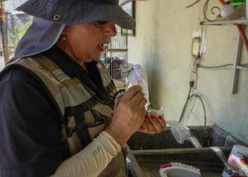 Llama Salud Sonora a eliminar criaderos de mosquitos y prevenir el dengue.