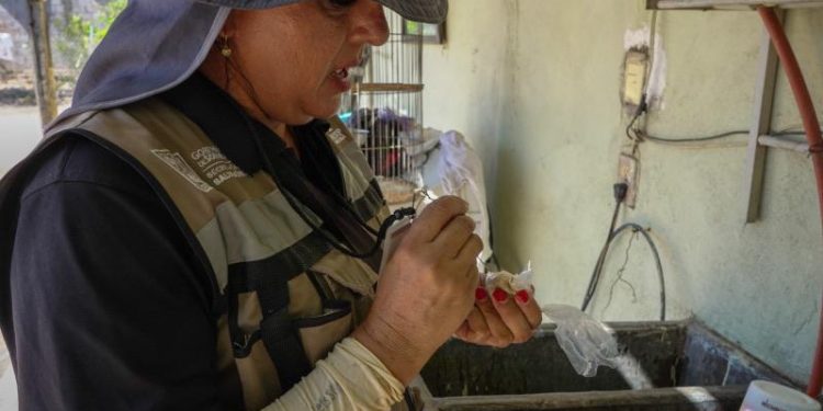 Llama Salud Sonora a eliminar criaderos de mosquitos y prevenir el dengue.