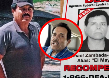 “El Mayo” se declara “no culpable”.