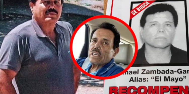 “El Mayo” se declara “no culpable”.