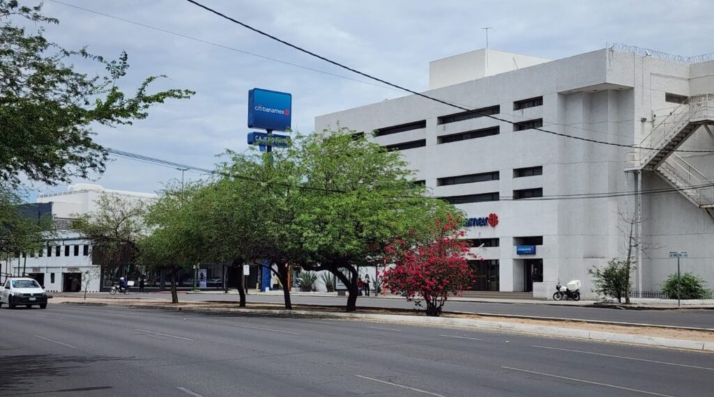 Más de 147 tramos de camellones han sido adoptados en la ciudad para cuidarlos.