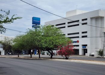 Más de 147 tramos de camellones han sido adoptados en la ciudad para cuidarlos.