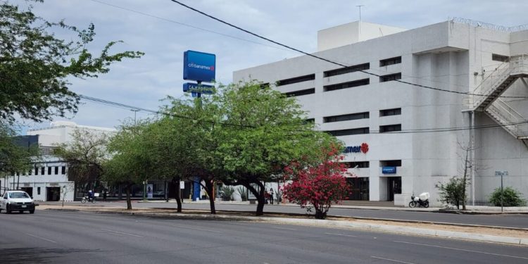 Más de 147 tramos de camellones han sido adoptados en la ciudad para cuidarlos.