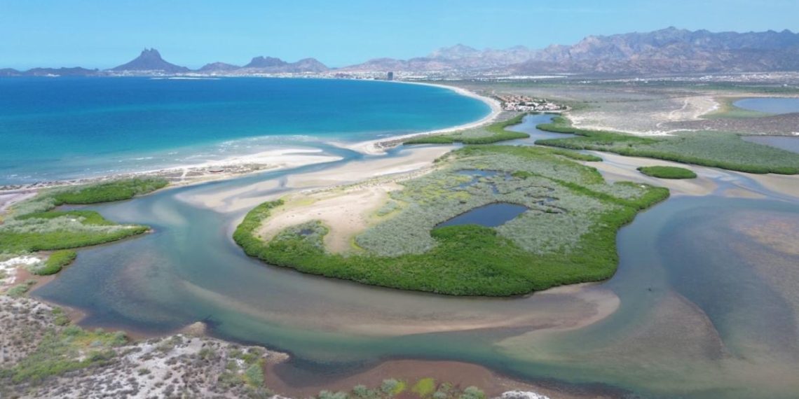 Gobierno de Sonora Impulsa el Ecoturismo y la conciencia ambiental en Estero “El Soldado” .