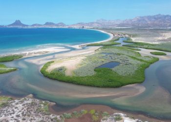 Gobierno de Sonora Impulsa el Ecoturismo y la conciencia ambiental en Estero “El Soldado” .