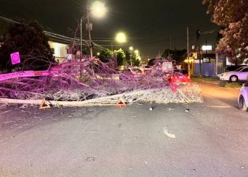 Fuertes ráfagas de viento provocan caos en Hermosillo.