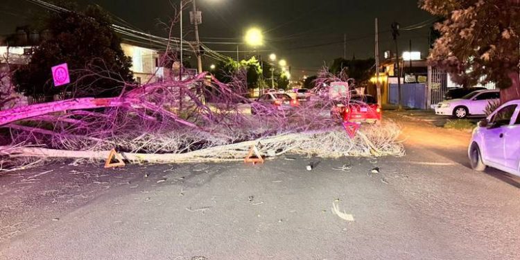 Fuertes ráfagas de viento provocan caos en Hermosillo.