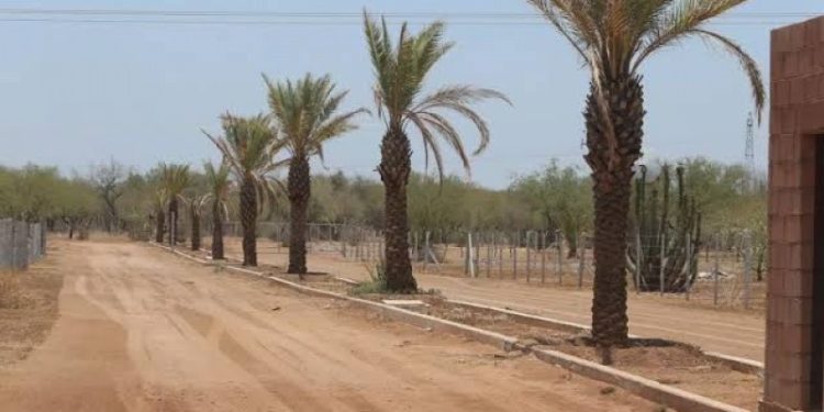 Avanza regularización de desarrollos campestres en Hermosillo.