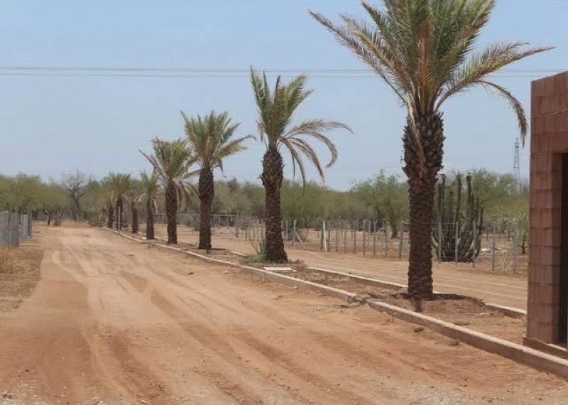 Avanza regularización de desarrollos campestres en Hermosillo.
