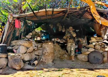 Destruyen plantío de marihuana en BC con valor de 205 mdp.