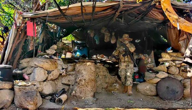 Destruyen plantío de marihuana en BC con valor de 205 mdp.