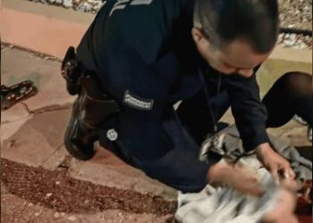 Oficiales de la Policía de Hermosillo asisten a mujer en labor de parto.