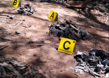 Buscadoras localizan ocho fosas clandestinas en el sur de Sonora.