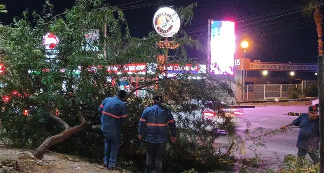 Lluvias del sábado generan 26 reportes de daños en la ciudad.
