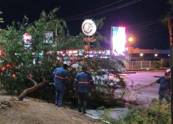 Lluvias del sábado generan 26 reportes de daños en la ciudad.