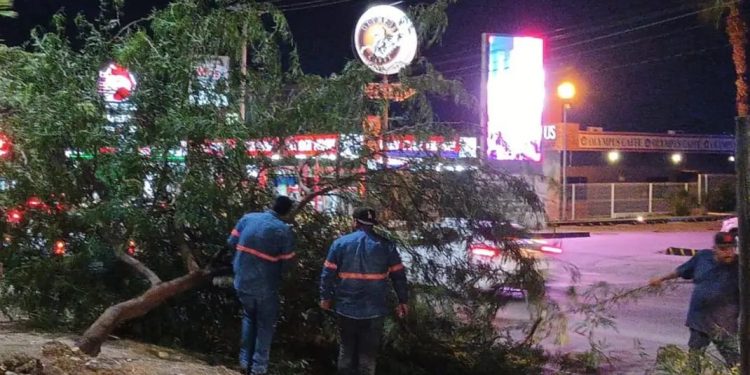 Lluvias del sábado generan 26 reportes de daños en la ciudad.