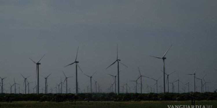 Frenan 25 proyectos de energía eólica en México.